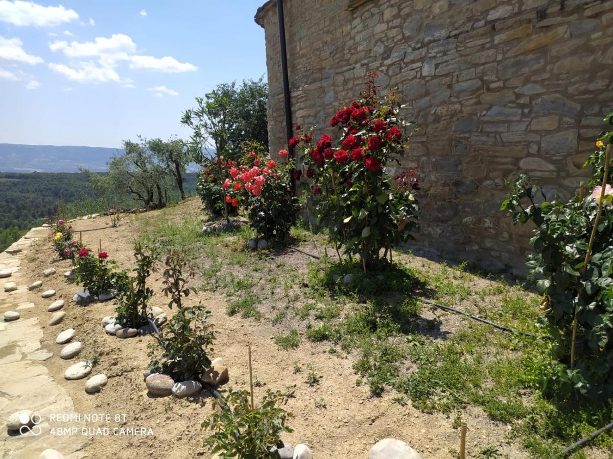 منزل الضيف جراوس  في Casa Dominica المظهر الخارجي الصورة